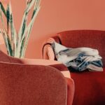 Berlin-apartment-queue