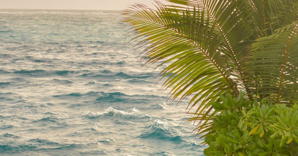 Illustration de Henri Giscard d'Estaing quitte le Club Med, Fosun impose sa vision Club-Med-resort
