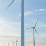 French-environmental-policy