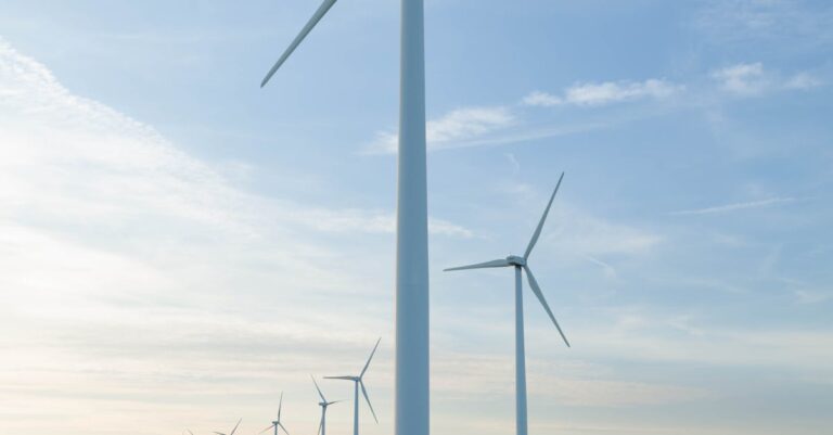 Illustration de Transition écologique française : l'ambition renouvelée ? French-environmental-policy