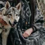 Habitat-Humanisme-solidary-owner