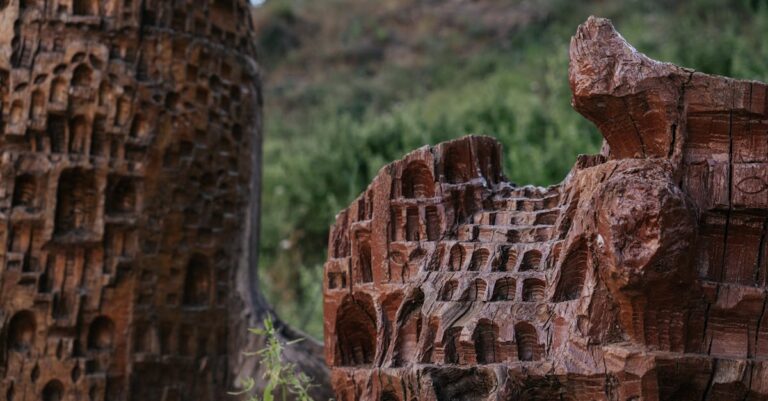 Illustration de Loi anti-vie chère Outre-mer : une urgence face à l'inflation Manuel-Valls-Assemblee-Nationale