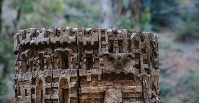 Illustration de Manuel Valls en Polynésie : Échos de l'Accord de Bougival Manuel-Valls-Rurutu