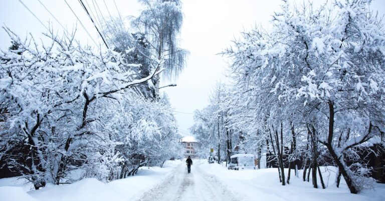 Illustration de Mark Twain : L'écrivain derrière Tom Sawyer et sa demeure unique Mark-Twain-Hartford-house