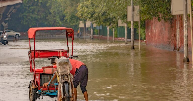 Illustration de Inondations à New York et au New Jersey : Alerte climatique New-Jersey-flooded-streets