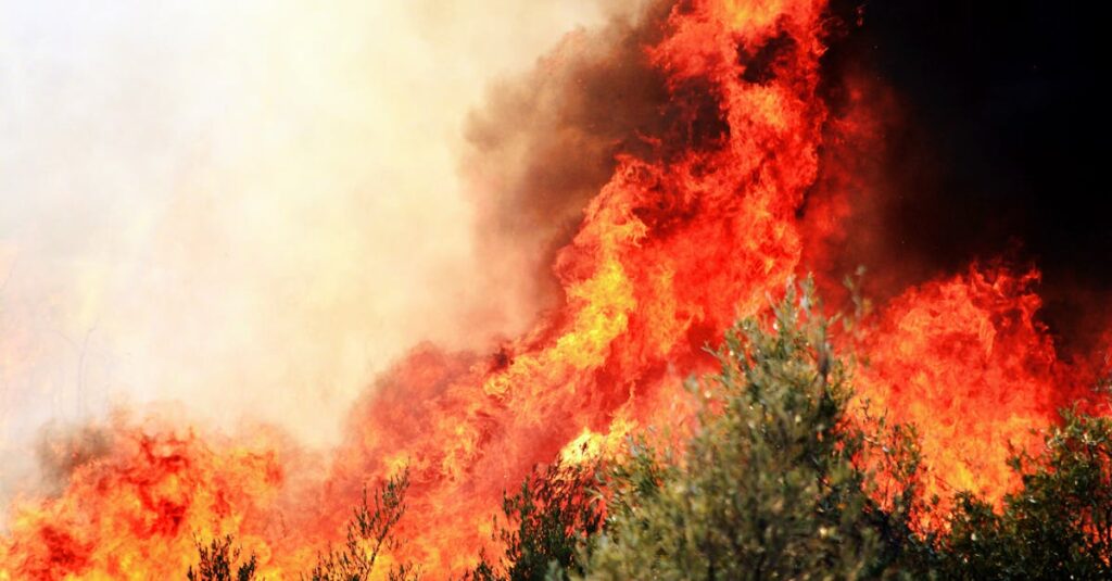 Illustration de La Turquie subit une canicule historique avec 50,5°C Turkey-heatwave-wildfires