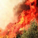 Turkey-heatwave-wildfires