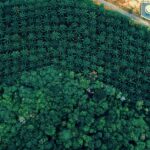 agricultural-transition-challenges