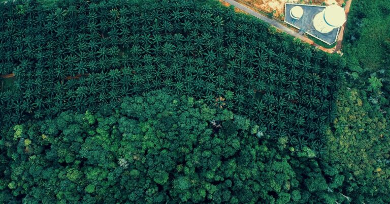 agricultural-transition-challenges