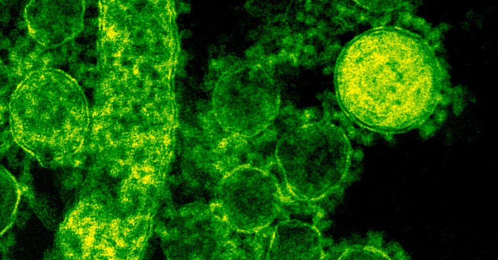 Illustration de Rajeunissement Cellulaire : L'Odyssée Scientifique de Jean-Marc Lemaître cellular-rejuvenation-research