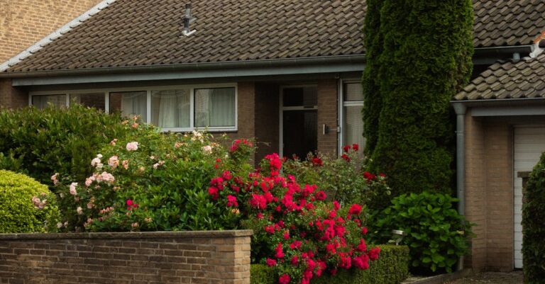 family-real-estate-accounting