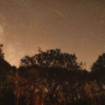 forest-fire-france-2