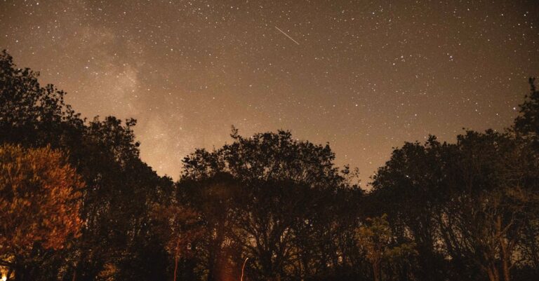 forest-fire-france-2