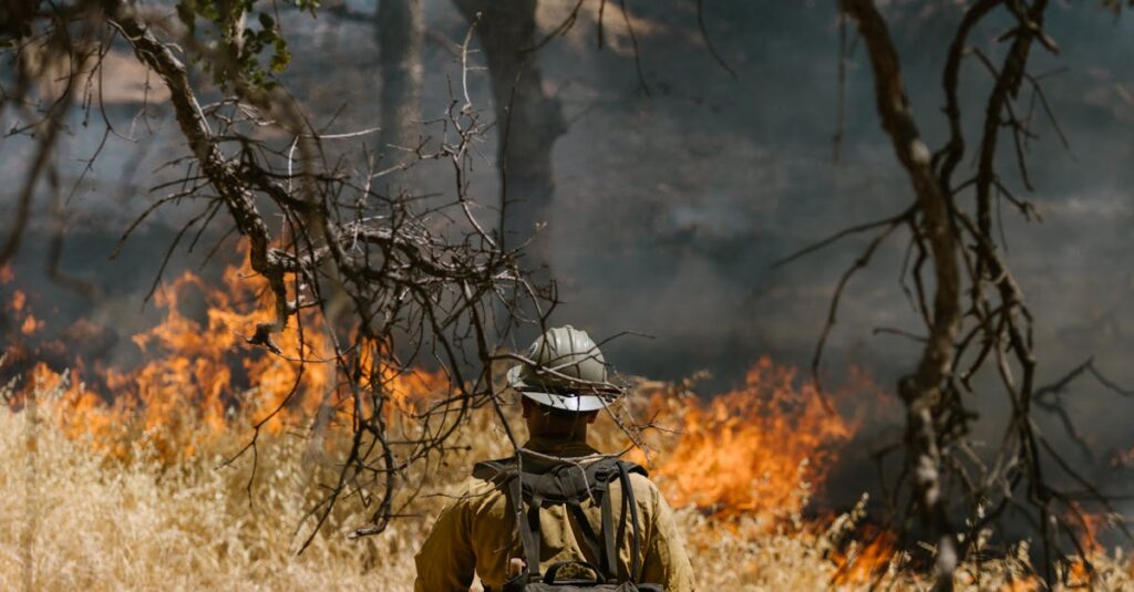 Illustration de Incendies : risque très sévère dans les Bouches-du-Rhône ce vendredi forest-fire-risk