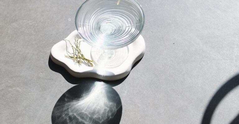 french-research-laboratory