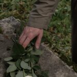 funeral-politicians-tribute