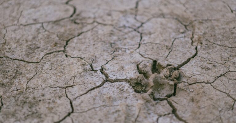 Illustration de Gaza face à la famine : la situation critique des journalistes gaza-famine-crisis