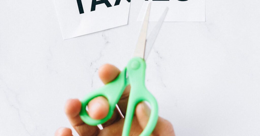 Illustration de Baisse des agences d'État : un défi budgétaire persiste government-budget-reduction