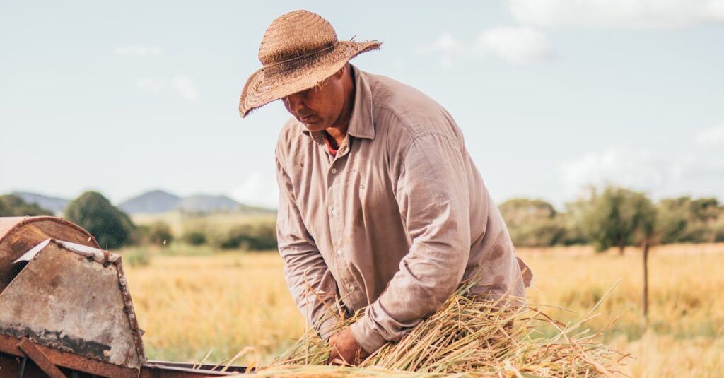 Illustration de Moisson de blé 2025 : la France anticipe une récolte prometteuse grain-harvesting-machine