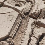 hot-weather-economy-impact