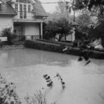 insurance-climate-risk-1