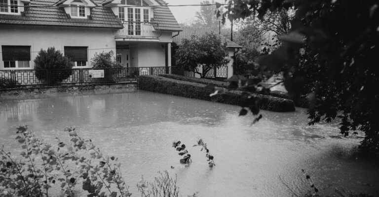 insurance-climate-risk-1