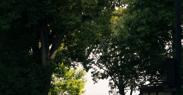 Illustration de Macron durcit le ton face à la menace des Frères musulmans macron-elysee-meeting