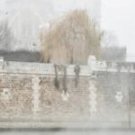 paris-seine-swimming