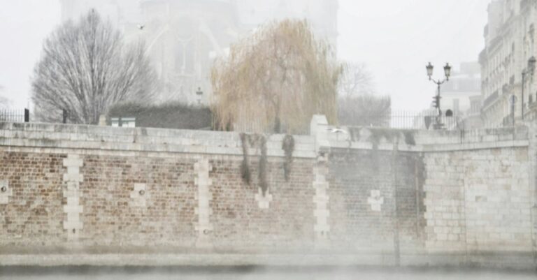 paris-seine-swimming