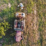 pesticide-spray-field