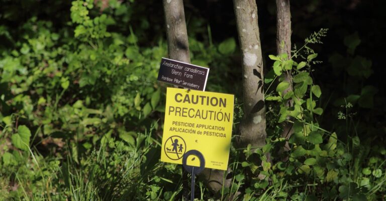 Illustration de Pétition Loi Duplomb : record de signatures contre le pesticide pesticide-warning-label