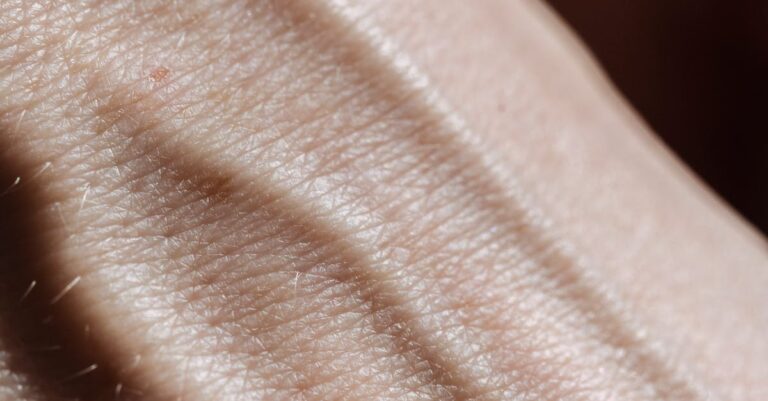 Illustration de Vieillissement : les fibroblastes, clés de notre vitalité future skin-cells