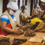 stellantis-production-line