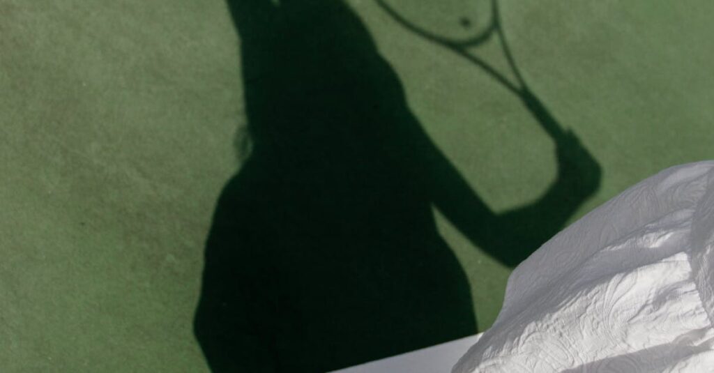 Illustration de Wimbledon : Sinner en quarts après l'abandon de Dimitrov tennis-player-injury