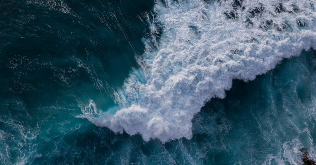 Illustration de Tsunami au Pacifique : des Français racontent l'alerte tsunami-wave-Japan