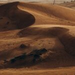 Alain-Souchon-portrait