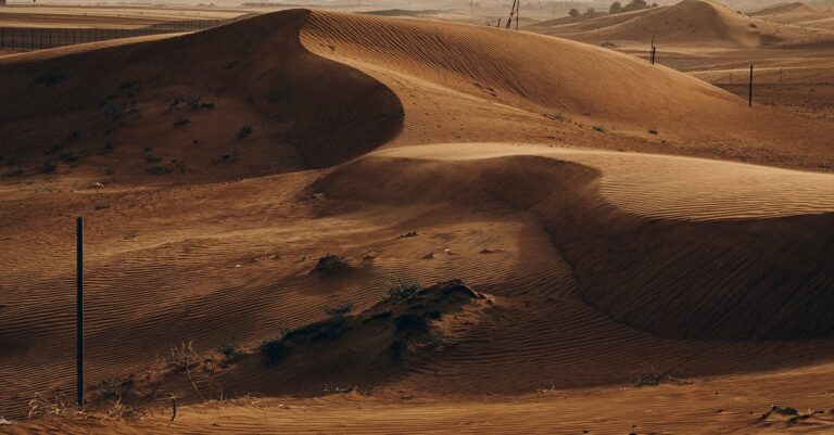 Illustration de Alain Souchon et Arlette Laguiller : une rencontre inattendue Alain-Souchon-portrait