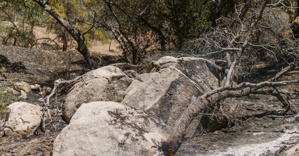 Illustration de Incendie dans l'Aude : droits et démarches d'indemnisation assurance Aude-wildfire-damage