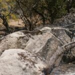 Aude-wildfire-damage