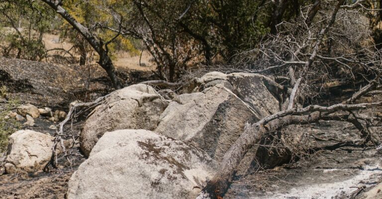 Aude-wildfire-damage