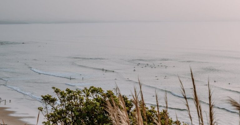 Illustration de Biarritz et Bayonne: une rivalité basque vivace Biarritz-Bayonne