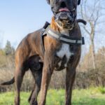 France-heatwave-orange-alert