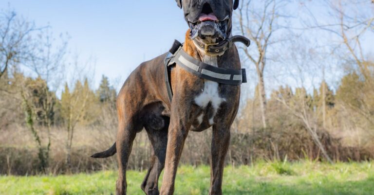 France-heatwave-orange-alert