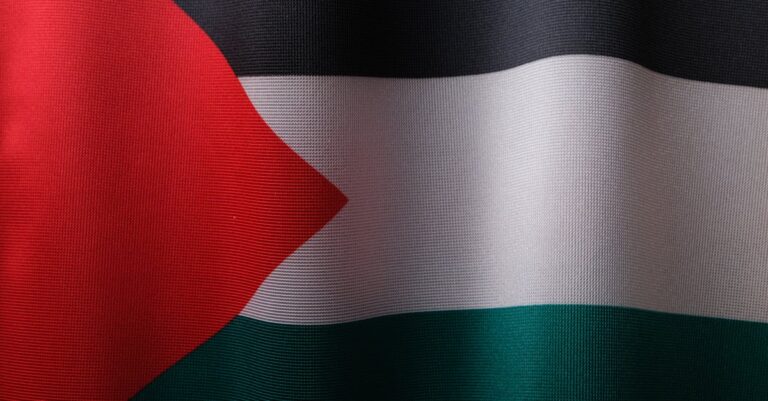 French-flag-Palestine-flag-1