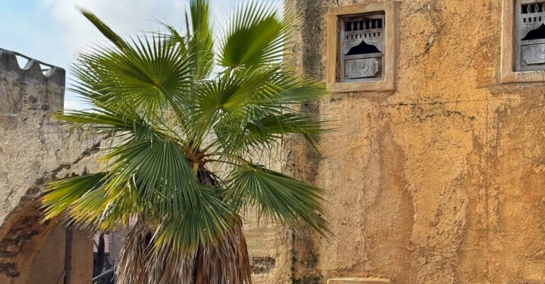 Illustration de Étudiante Gazaouie Quitte la France après Polémique Antisémitisme Gaza-student-Qatar