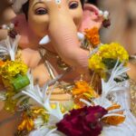 Labubu-figurine-blindbox