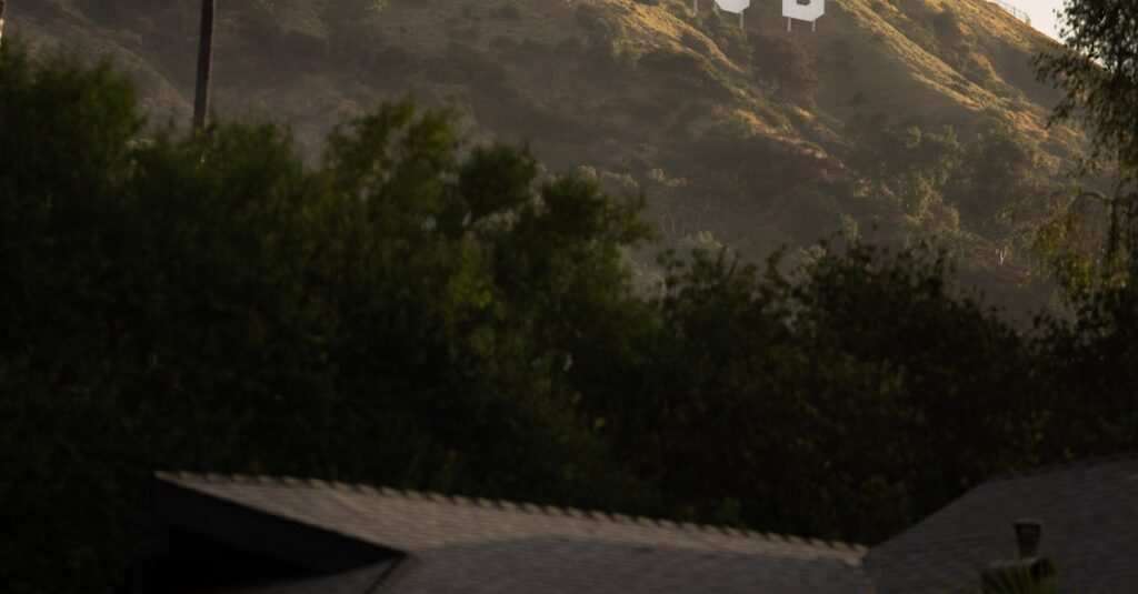 Illustration de JO 2028 : Los Angeles ouvre ses sites aux contrats de naming Los-Angeles-2028