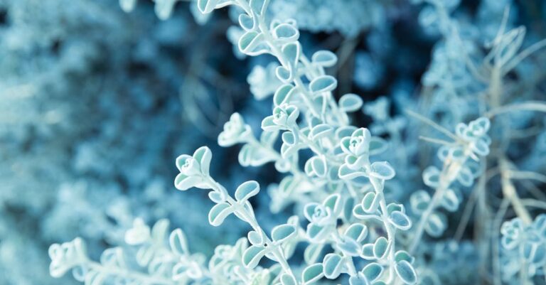 Los-Angeles-ICE-agents