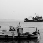 Marine-Tondelier-Strasbourg-speech