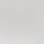 New-York-rat-control